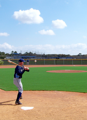 Tampa Bay Rays Training Facility Turf Base